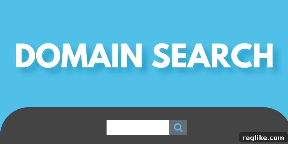 Essential Search Features for Domain Marketplaces 2 Graphic with the words Domain Search above a search box, symbolizing enhanced domain discovery
