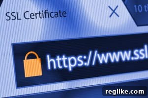 The Volatile World of SSL Certificates 2 Picture of a web browser with a pad lock icon next to domain name for SSL