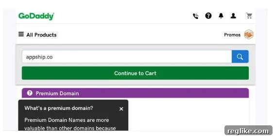 Screenshot of GoDaddy website with appship.co in the search box and Premium Domain definition below it.