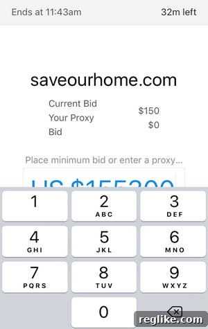 Exercise Caution When Bidding in GoDaddy Investor App 2 Screenshot from GoDaddy investor app showing potential overbidding issue