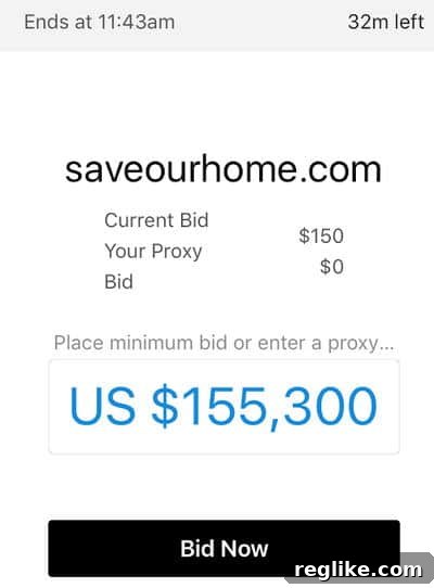 Exercise Caution When Bidding in GoDaddy Investor App 3 GoDaddy investor app screenshot displaying the inflated bid amount