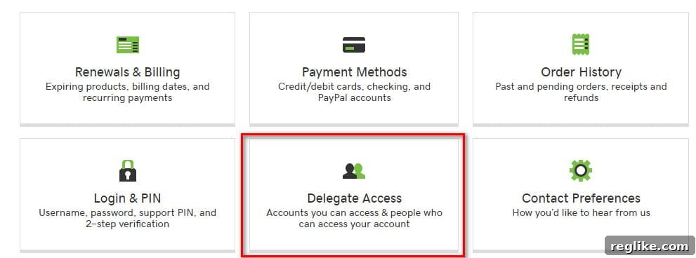 GoDaddy account manager with multiple options, including Delegate Access