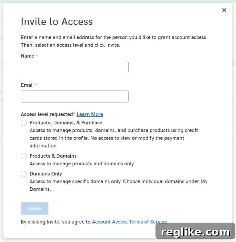 Delegation box on GoDaddy.com to enter a delegate's name and email address