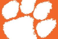 Clemson Roars Victorious in Domain Name Battle