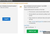 GoDaddy Patches Auction Login Page Error