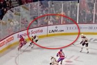 NHL Holds Multiple Three Letter Domains