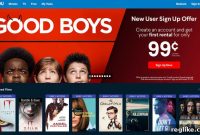 Walmart’s Vudu’s Reverse Domain Hijack