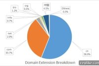 Domain Insights: Decoding Chinese Preferences