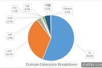 The Evolution of .NET in China