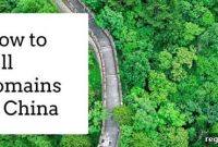 Unlocking the Chinese Domain Market