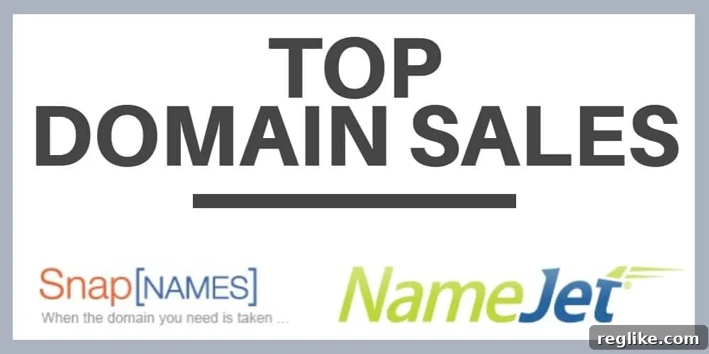 Decoding NameJet's Domain Auction Insights 2 Image that says Top Domain Sales with NameJet and SnapNames logos