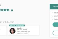 DAN.com Elevates Domain Financing Solutions
