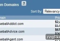 directNIC Integrates NameMedia Domain Portfolio