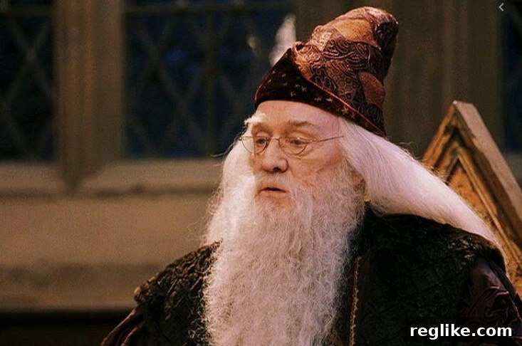 Harry Potter Studio Fails To Accio Dumbledore Domain 2 Still of Dumbledore from a Harry Potter Film, depicting a wise old wizard