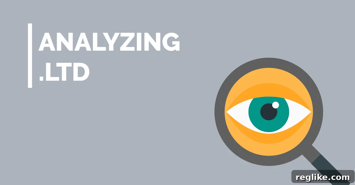 .ltd Domains: The Next Big Thing for Businesses 2 Picture of a magnifying glass and the words "analyzing .ltd"