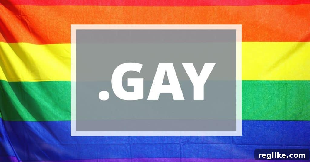 The .Gay Domain's Pandemic Pause 2 Rainbow flag with the words ".gay" on it, symbolizing inclusivity and the digital home for the LGBTQ+ community.