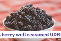 Berry Smart Cybersquatting Decision