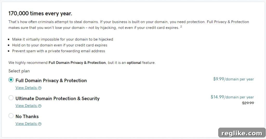GoDaddy Boosts Domain Security with Three New Privacy Levels 2 GoDaddy privacy options during checkout