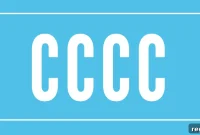 Why 89CP.com Fetched $5,000: A Domain Valuation Analysis
