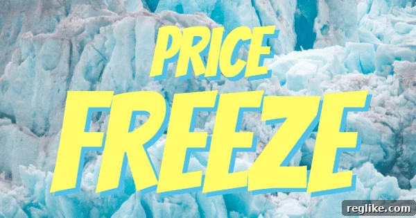 Verisign Commits to Stable Pricing Through Q1 2021 2 Image of frozen icebergs with the words "price freeze" in yellow and blue font