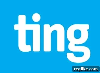 Tucows Sells Ting Mobile to DISH, Pivots Mobile Strategy 2 Logo for ting mobile services