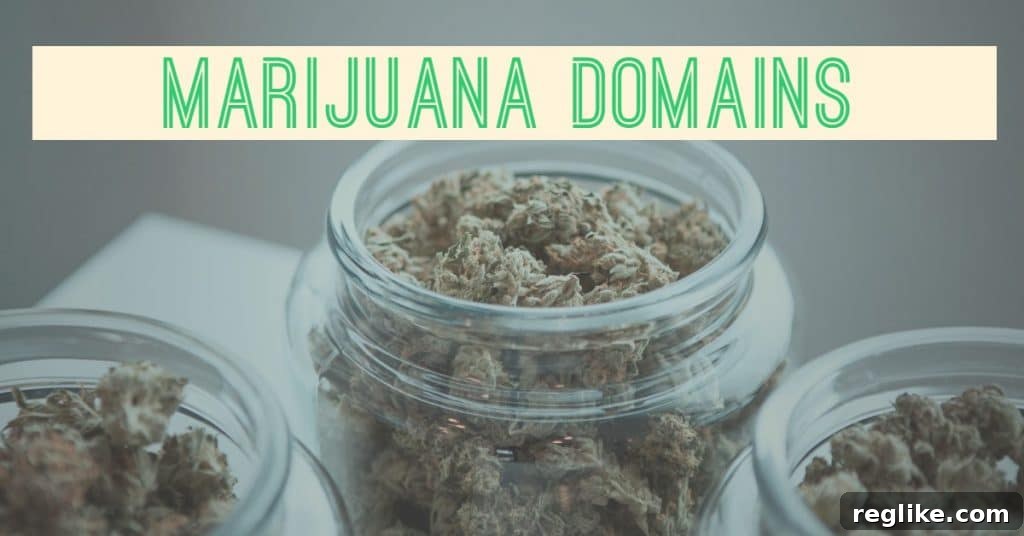 BuyWeed.com Domain Fetches $50,000 2 Jars of marijuana with the words marijuana domains