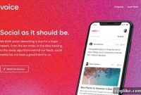 How MicroStrategy Mastered Domain Acquisition and Scored $30M with Voice.com