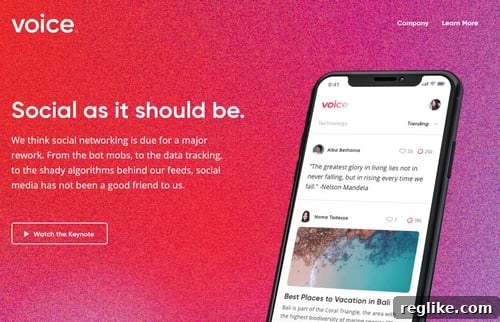 How MicroStrategy Mastered Domain Acquisition and Scored $30M with Voice.com 2 Voice.com: A Blockchain-Based Social Media Platform