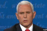 Biden Campaign Turns Pence’s Fly into FlyWillVote.com