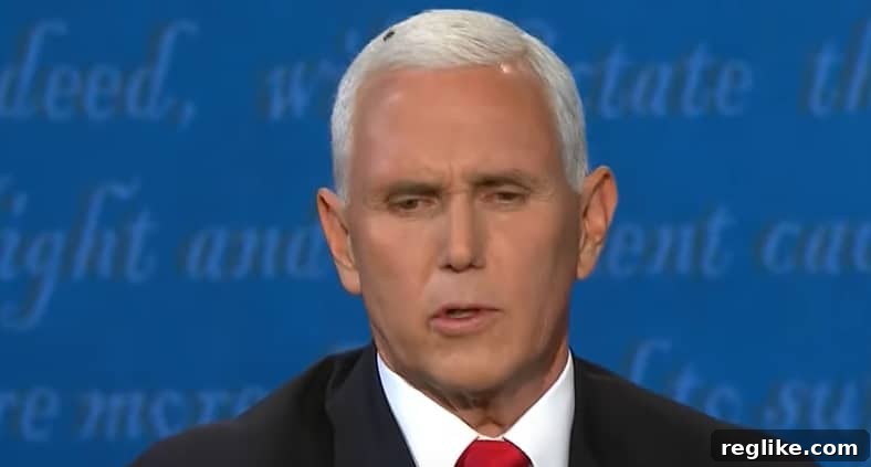Biden Campaign Turns Pence's Fly into FlyWillVote.com 2 A close-up image of a fly perched on Vice President Mike Pence's white hair during a televised debate