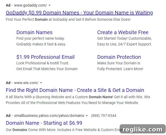 Web Presence Firms Intensify Ad Spending as Demand Explodes 2 Screenshot of Google Ads for the term "domain name?"