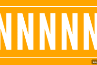 Which Top Company Owns This 5N Corporate Domain?