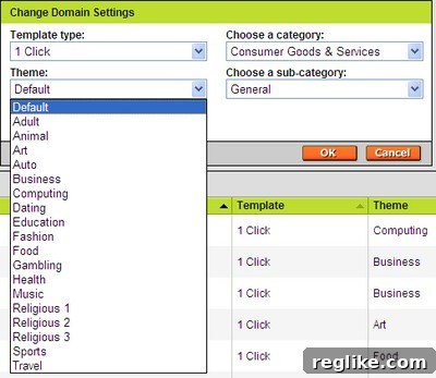 GoDaddy CashParking Domain Setup Interface
