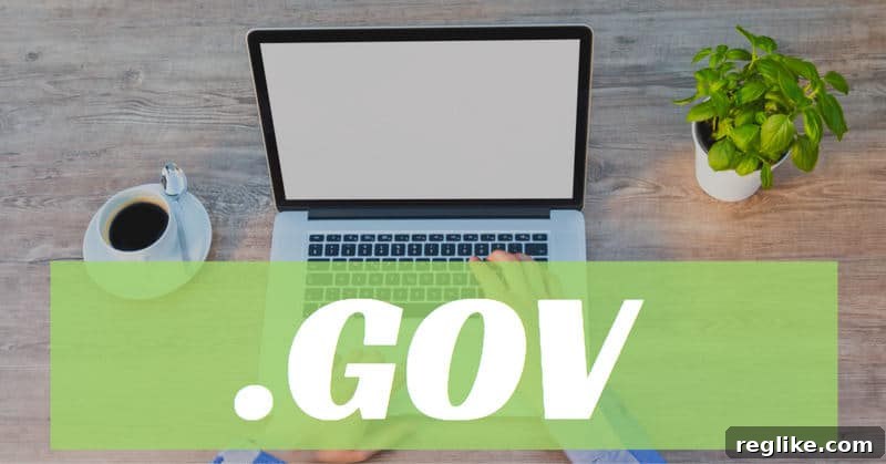COVID Relief Bill Promotes GovTech Adoption 2 Picture of someone typing at a laptop with the words ".GOV" imprinted on top