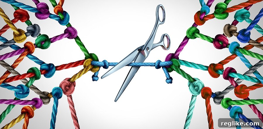 Digital Sovereignty: Trump, Platforms, and the Domain Lesson 2 Image of links tied together with scissors cutting the connection