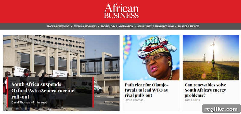 Premium NTLDs in Action: 10 Innovative Use Cases 9 Screenshot of African.business