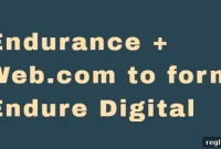 Endurance’tan Web.com alımı ve Constant Contact ayrılığı