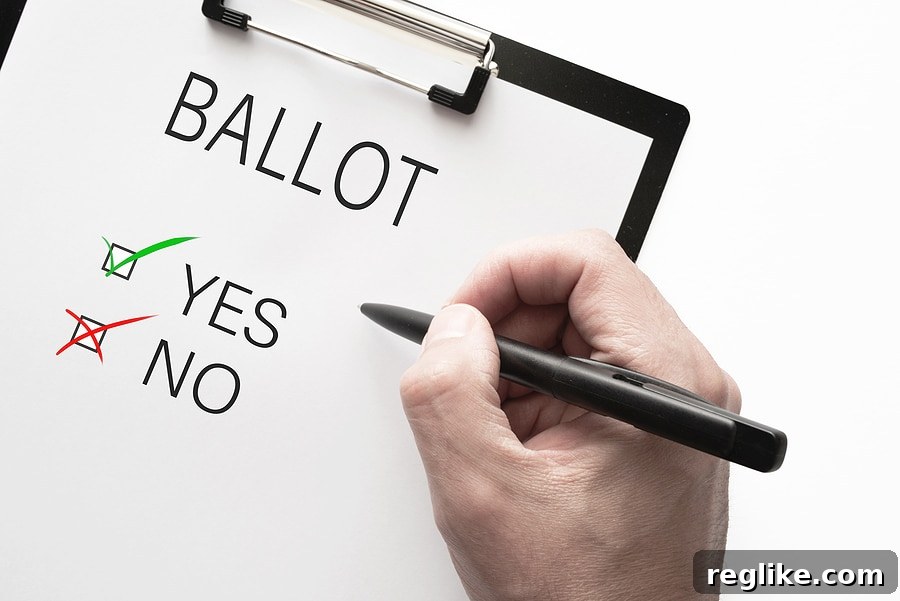 Nominet Overhaul Gets Green Light 2 Image of a ballot with Yes and No boxes, and a pen marking the ballot, symbolizing corporate voting and accountability within Nominet.