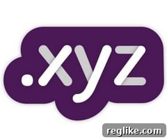 The .XYZ Goldmine: How One Investor Struck It Rich 2 .xyz logo, symbolizing innovative and modern domain extensions