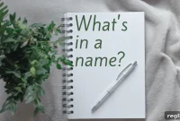 Struggling to Name a Sports Franchise You’re Not Alone