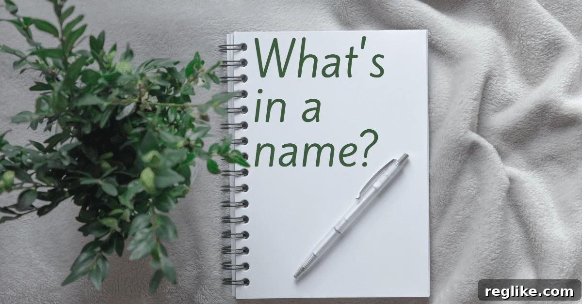 Struggling to Name a Sports Franchise You're Not Alone 2 Picture of a notebook with the words