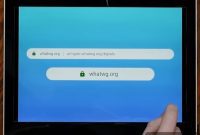 Google Chrome Reinstates Full URLs