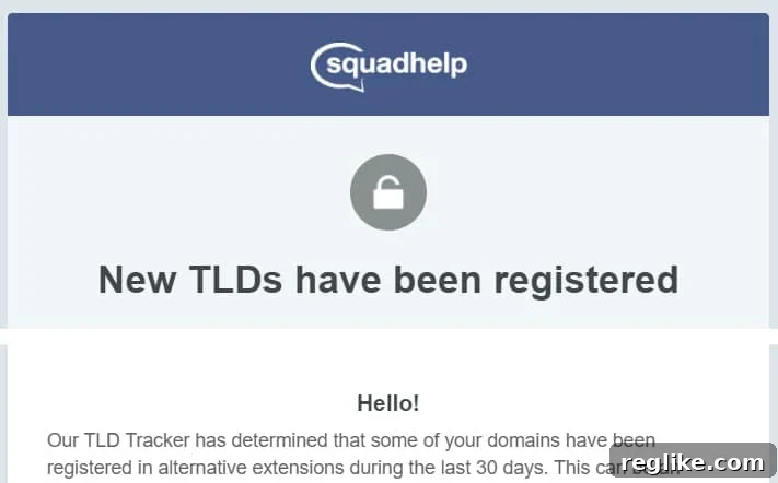 Squadhelp: The Domain Investor's Advantage 2 A notification from Squadhelp about a domain being registered that matches another domain owned by the user