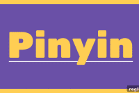 Do Your Domains Speak Pinyin Too?