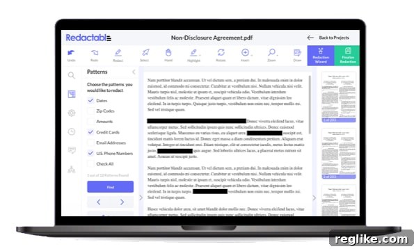 Brand Secures Its .com Through UDRP Victory 2 Picture of Redactable software