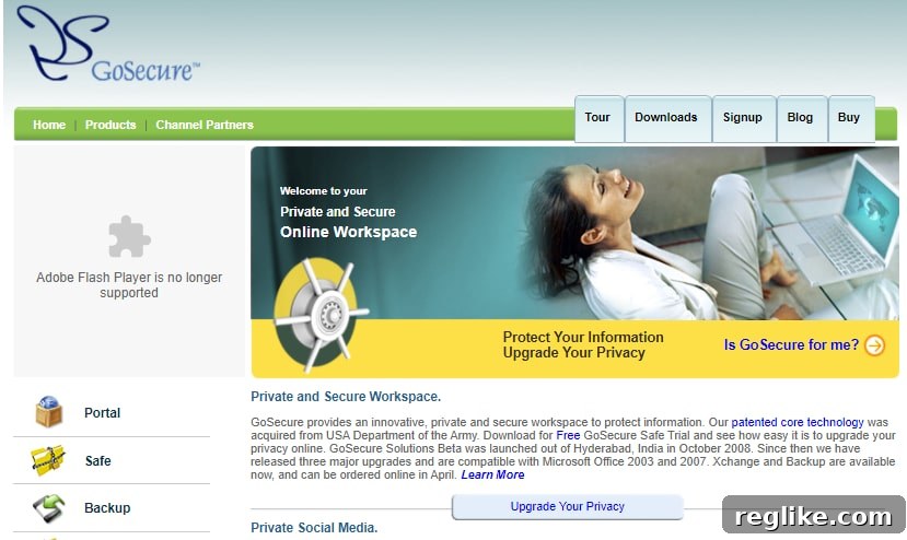 GoSecure Sues Over Failed Reverse Domain Hijacking 2 Screenshot of GoSecure.com domain name in 2010