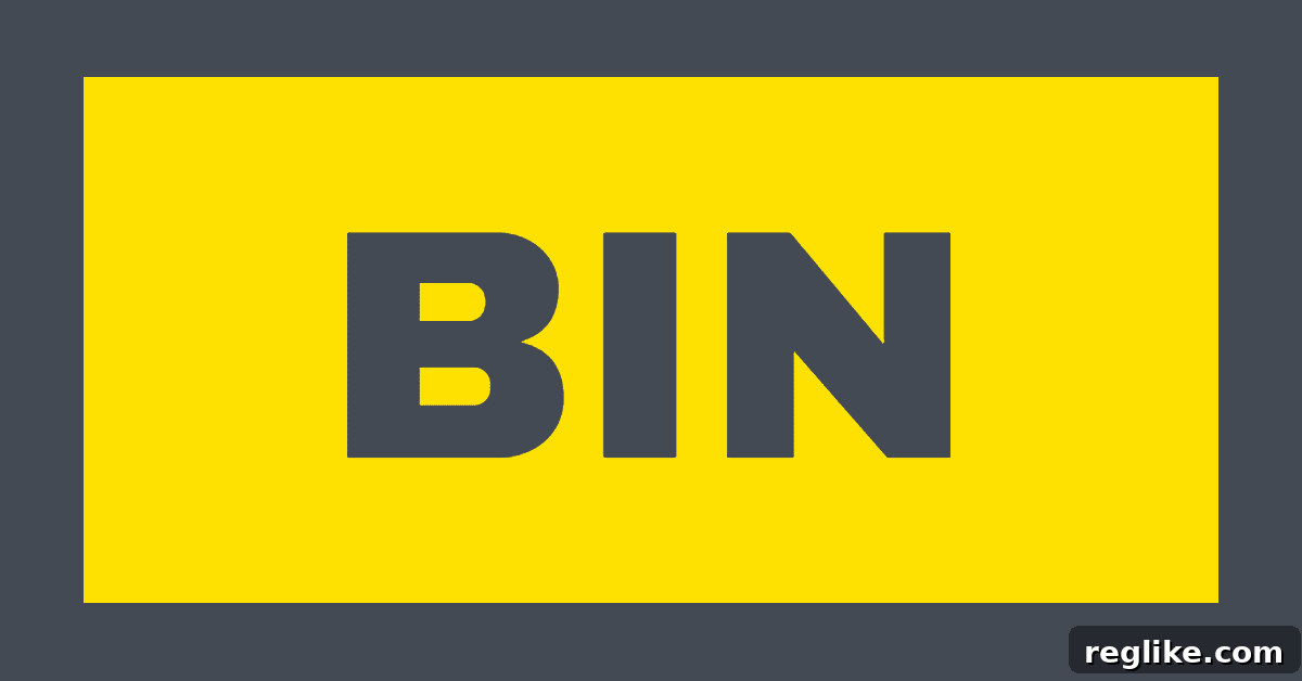 Unlocking the Potential of Your Extra BIN Time 2 Graphic with BIN in grey letters on yellow background