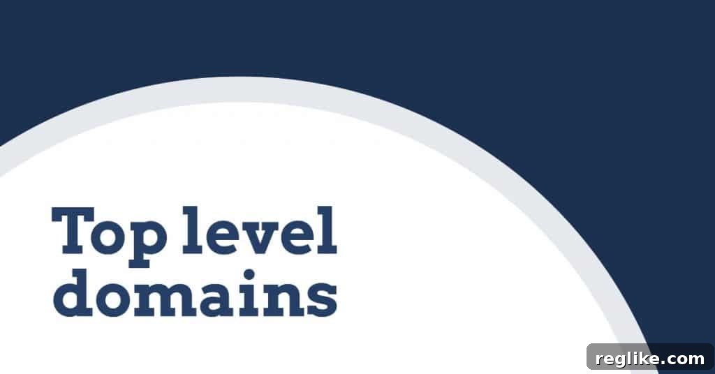 ICANN Unravels UNR Transfer Standoff 2 Graphic that states "top level domains" on a white circle inside a blue background