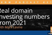 Mark Levine’s 2021 Domain Investing Reality Check