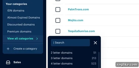 Dan.com category option shows domain categories IDN domains, almost expired domains, discount domains, 2 letter domains